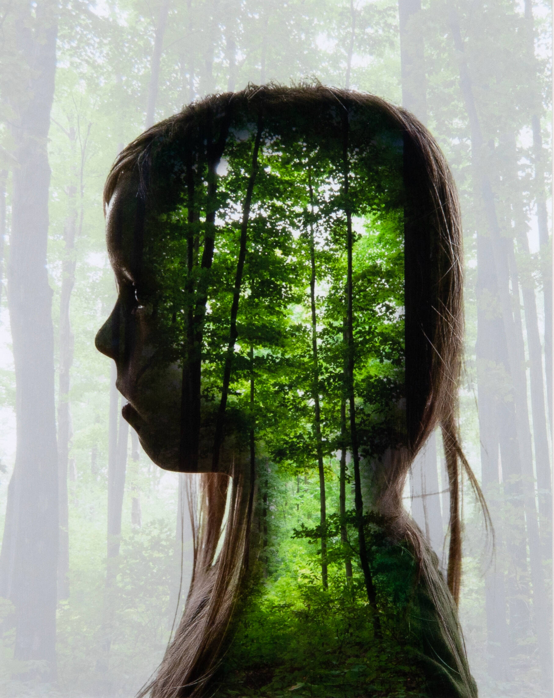 Photograph of dark profile portrait of young girl with light hair, facing left of piece, superimposed upon photograph of rich green forest.